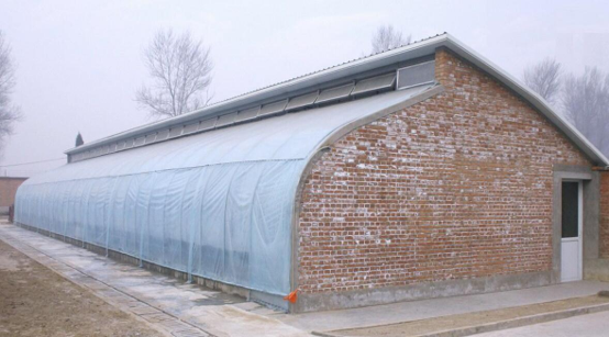 Warm Greenhouse detail 2